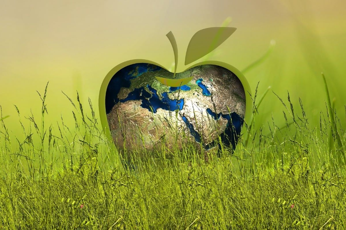 sustainability 3295824 1920 web