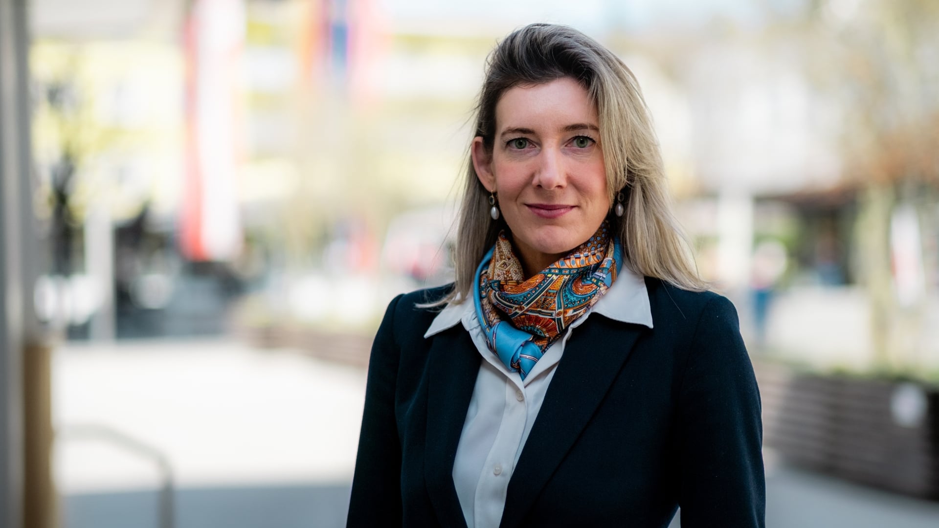 4. Rolle der SDI fur Liechtenstein